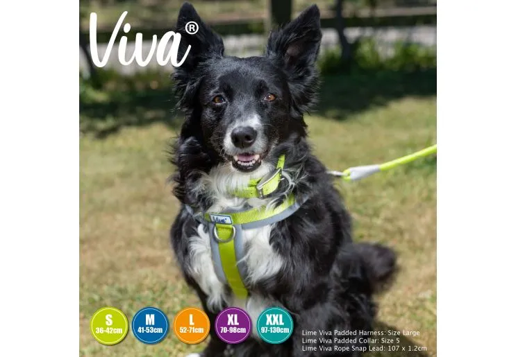 Ancol - Viva Nylon Padded Harness - Black - Medium (41-53cm)
