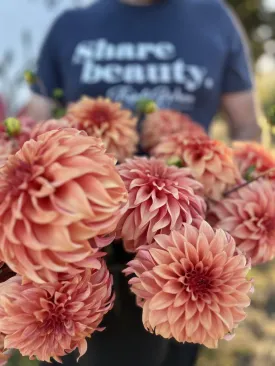 Bloomquist Pleasing Dahlia Tuber