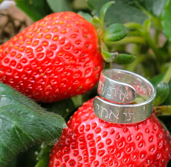 Double Spiral Ring