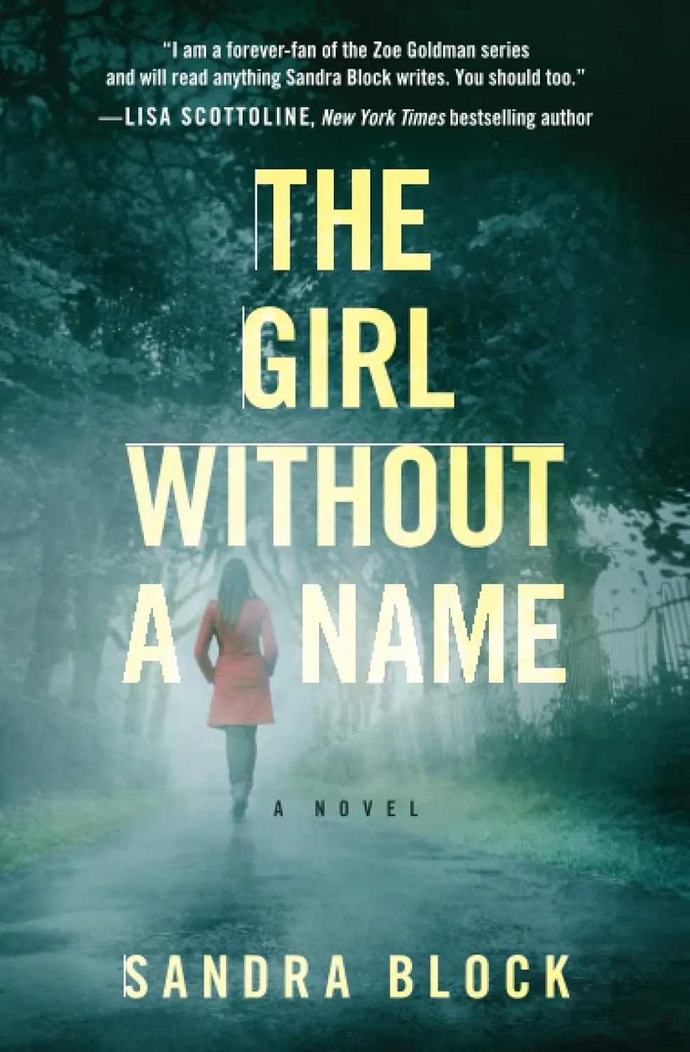The Girl Without a Name (A Zoe Goldman Novel, 2) Paperback  September 8, 2015